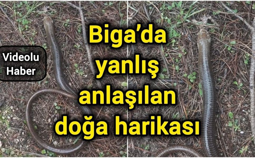 Biga’da yanlış anlaşılan doğa harikası
