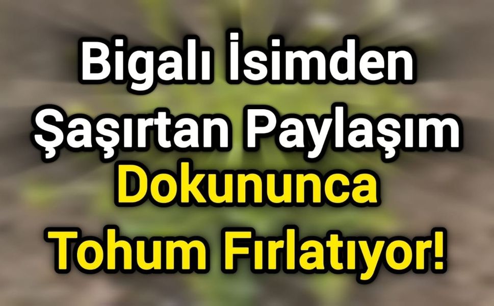 Bigalı İsimden Şaşırtan Paylaşım: Dokununca Tohum Fırlatıyor!
