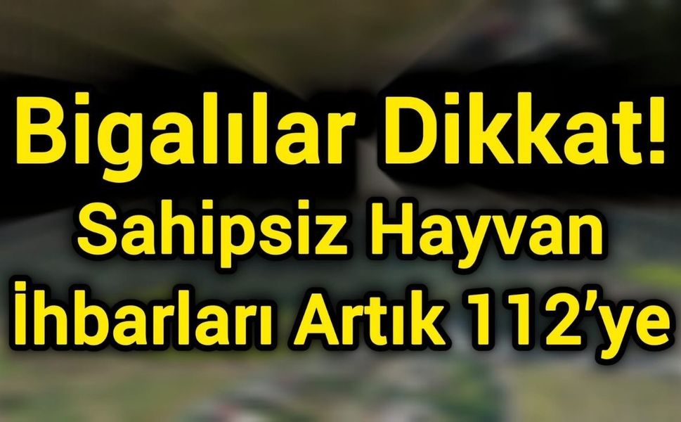 Bigalılar dikkat! Sahipsiz hayvan ihbarları artık 112’ye