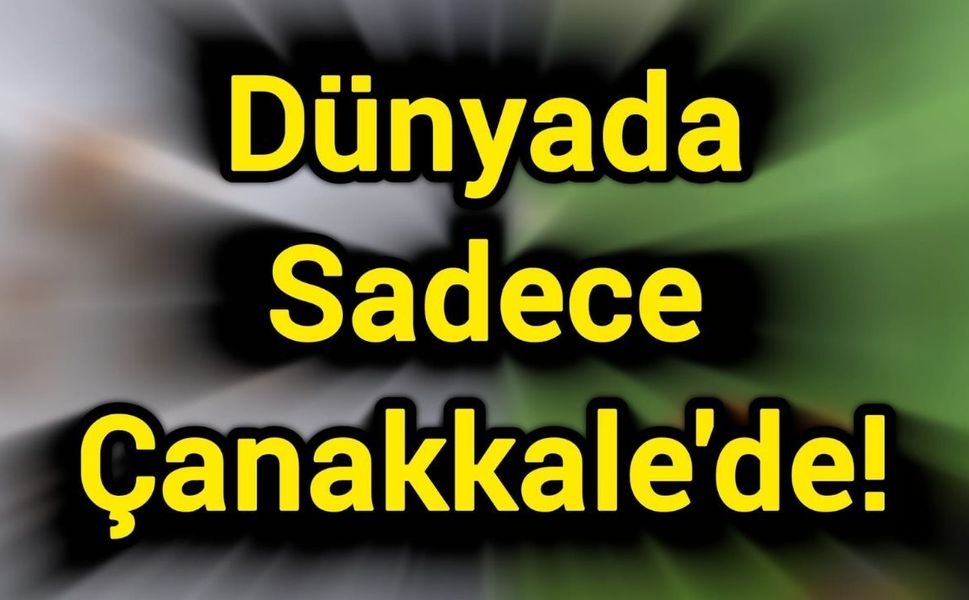 Çanakkale Boğazı’nın adı bu böcekte yaşayacak