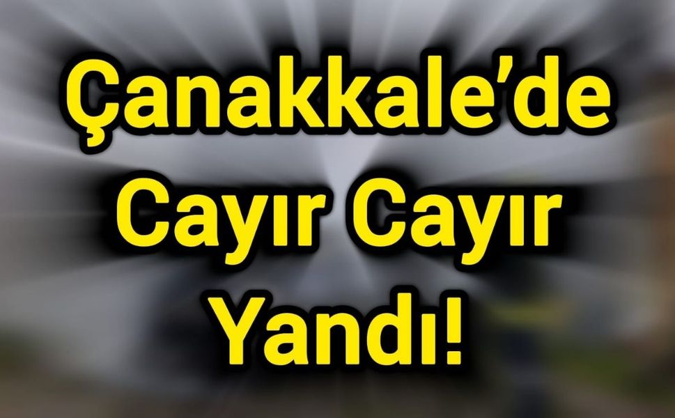 Çanakkale’de Cayır Cayır Yandı!
