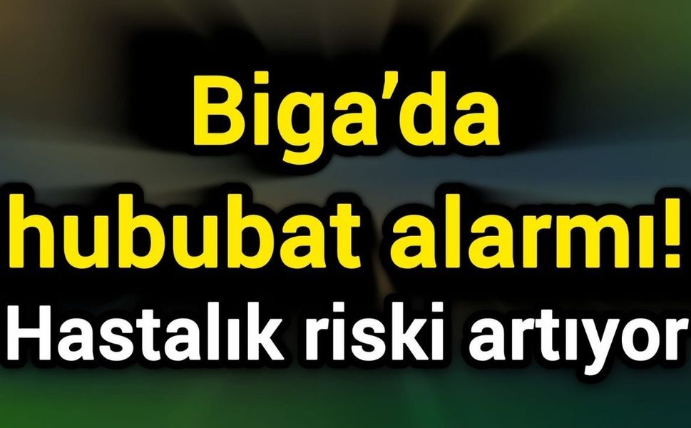 Biga’da hububat alarmı! Hastalık riski artıyor