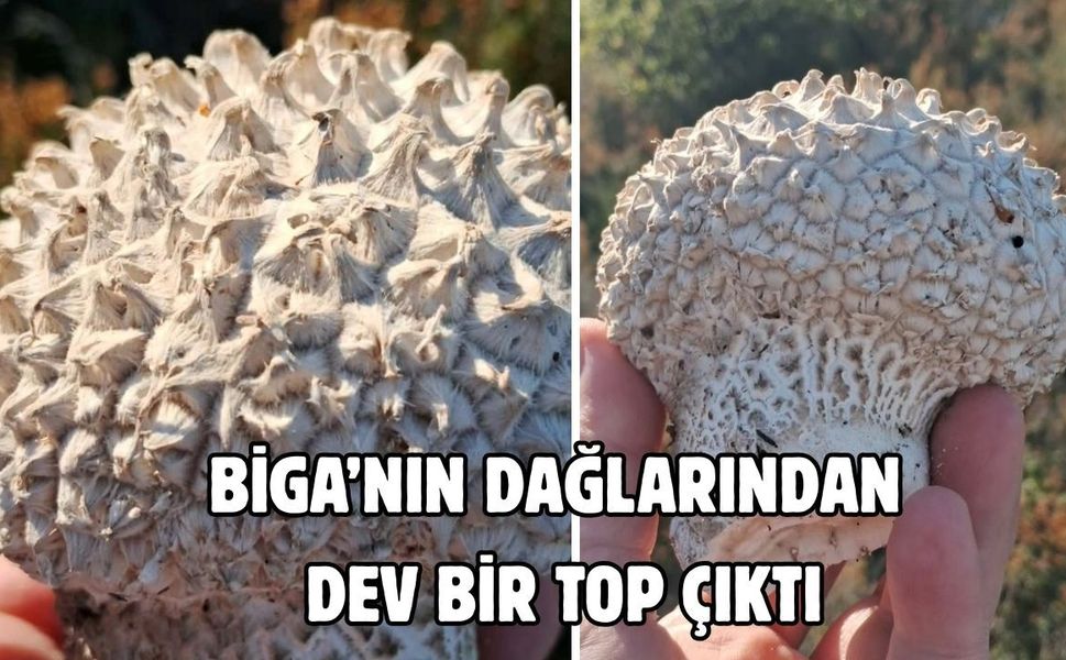 Biga’nın dağlarından dev bir top çıktı