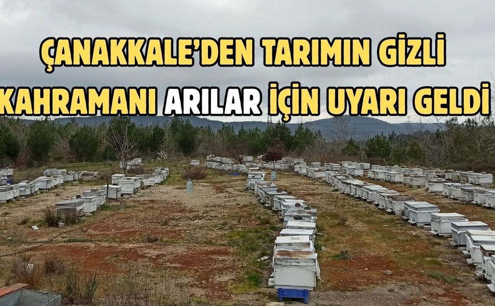 Çanakkale’den tarımın gizli kahramanı arılar için uyarı geldi