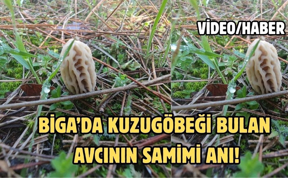 Biga’da kuzugöbeği bulan avcının samimi anı!