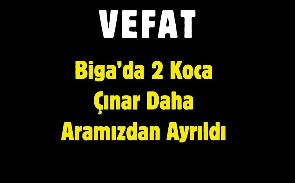 Biga’da 2 Koca Çınar Daha Aramızdan Ayrıldı