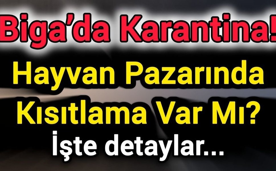 Biga’da Karantina! Hayvan Pazarında Kısıtlama Var Mı?