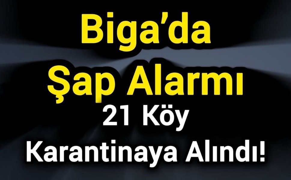 Biga’da Şap Alarmı: 21 Köy Karantinaya Alındı!
