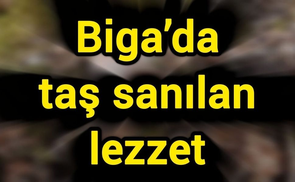 Biga’da taş sanılan lezzet