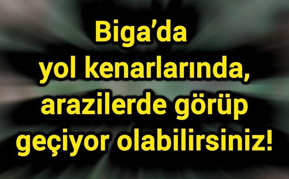 Biga’da yol kenarlarında, arazilerde görüp geçiyor olabilirsiniz!