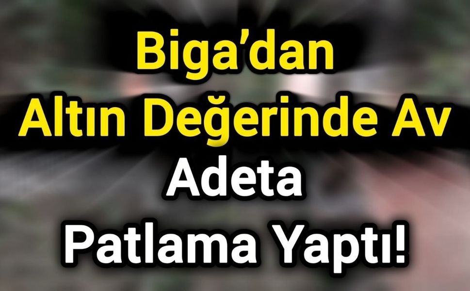 Biga’dan altın değerinde av: Adeta patlama yaptı!