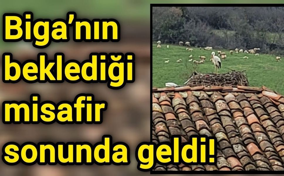 Biga’nın beklediği misafir sonunda geldi!
