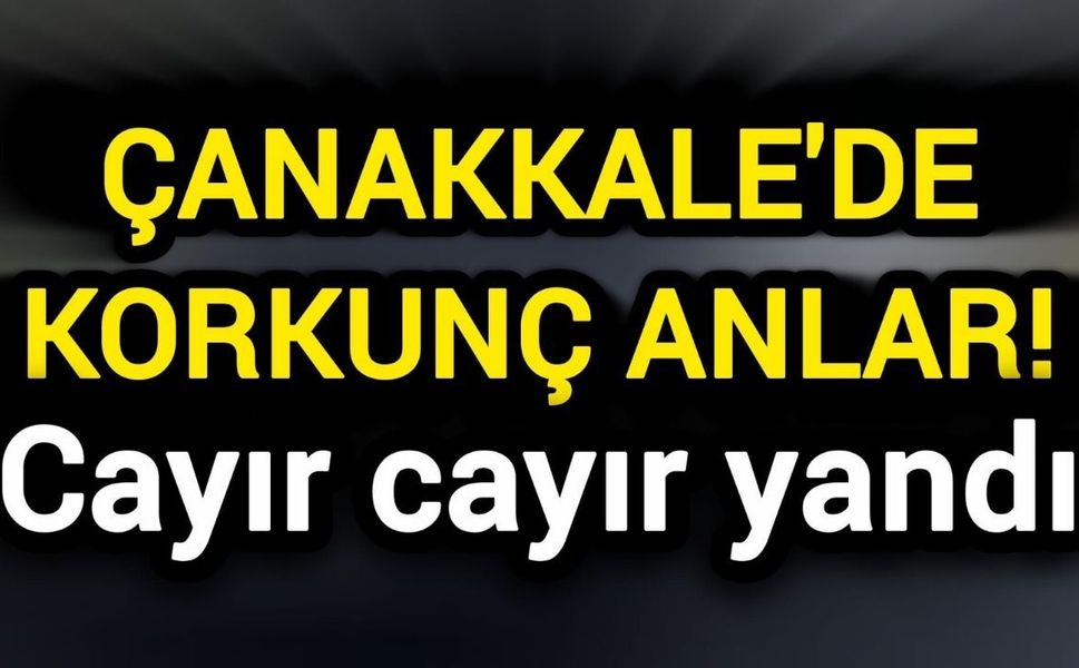 Çanakkale'de korkunç anlar! Cayır cayır yandı
