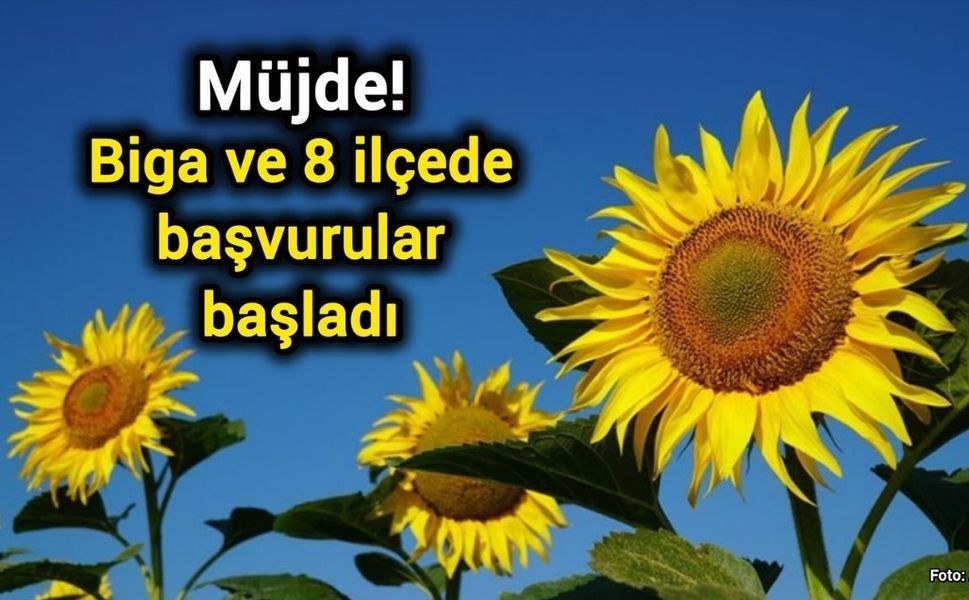 Müjde! Biga ve 8 İlçede Başvurular Başladı