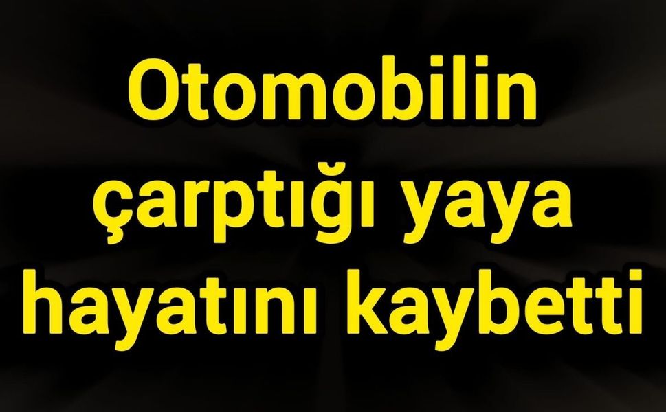 Otomobilin çarptığı yaya hayatını kaybetti