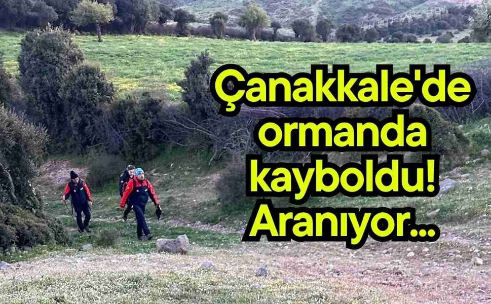 Çanakkale'de ormanda kayboldu! Aranıyor...