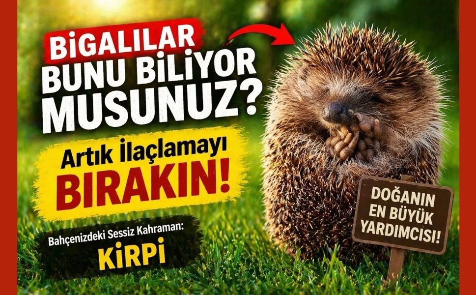 Bigalılar bunu biliyor musunuz? Artık ilaçlamayı bırakın!