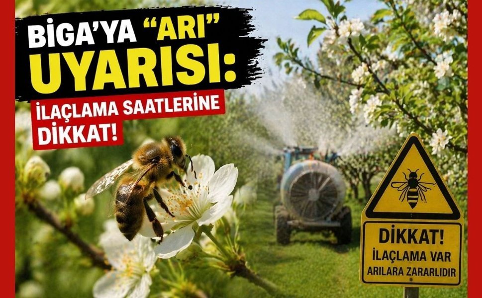 Biga’ya "Arı" uyarısı: İlaçlama saatlerine dikkat!