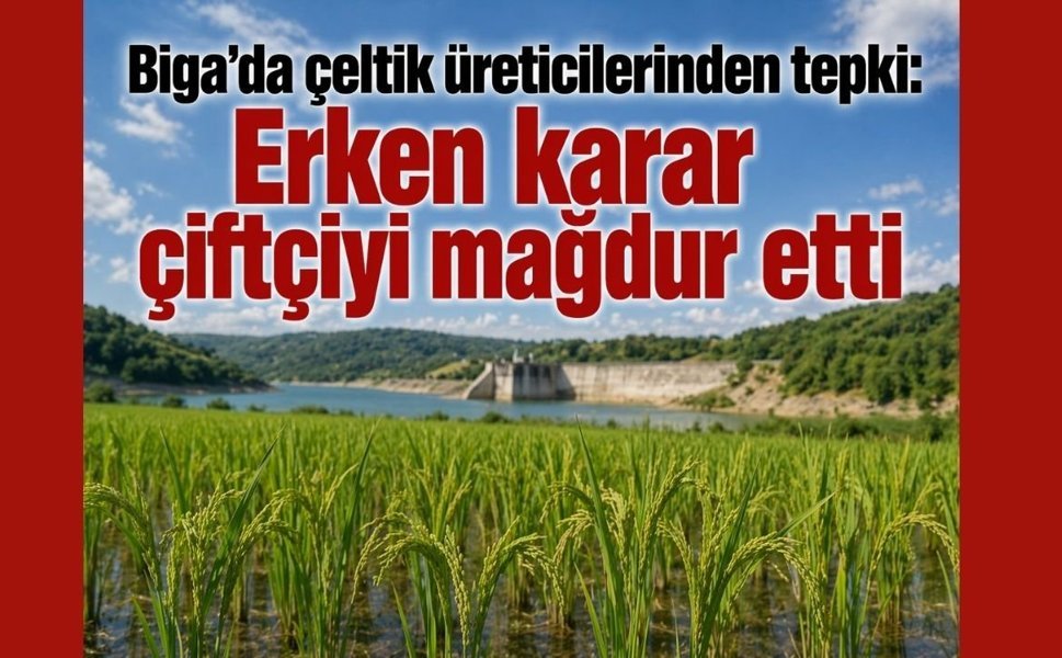Biga’da çeltik üreticilerinden tepki: Erken karar çiftçiyi mağdur etti
