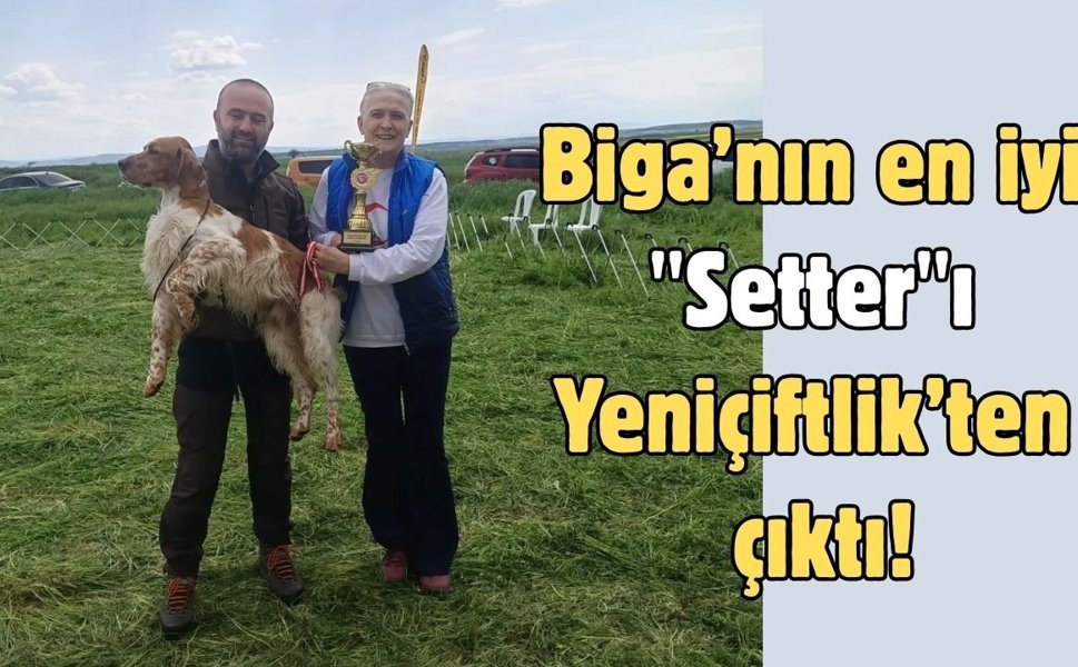 Biga’nın en iyi "Setter"ı Yeniçiftlik’ten çıktı!