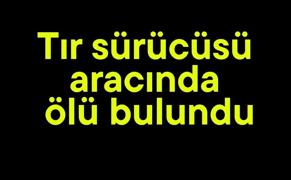 Tır sürücüsü aracında ölü bulundu