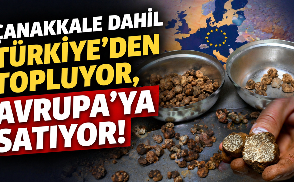 Çanakkale dahil Türkiye’den topluyor, Avrupa’ya satıyor!