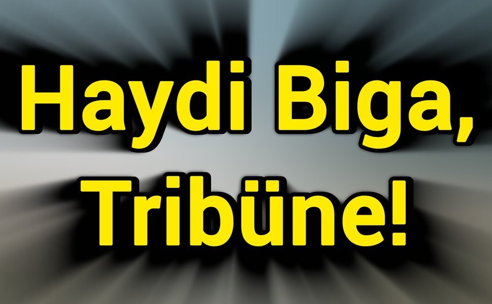 Haydi Biga, Tribüne!