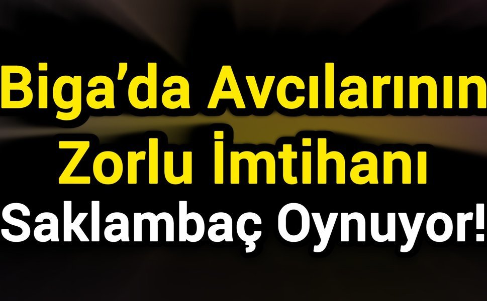 Biga’da Avcılarının Zorlu İmtihanı: Saklambaç Oynuyor!