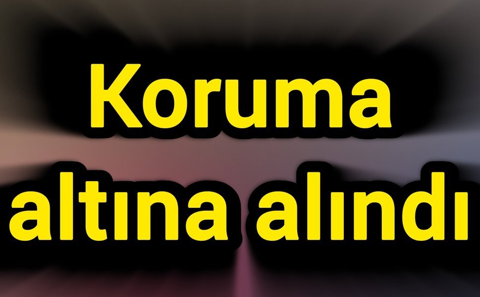 Koruma altına alındı