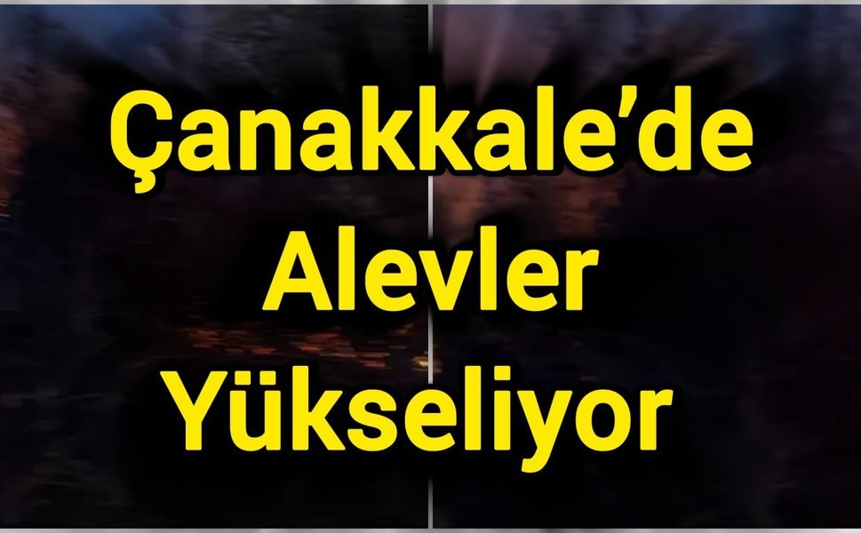 Çanakkale’de ormanlık alanda yangın!