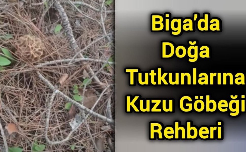 Biga’da Doğa Tutkunlarına Kuzu Göbeği Rehberi
