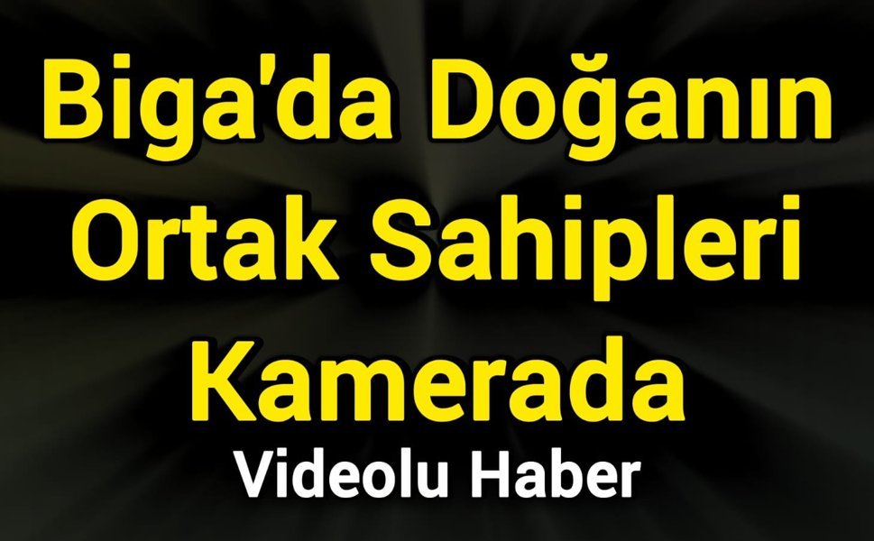 Biga'da Doğanın Ortak Sahipleri Kamerada