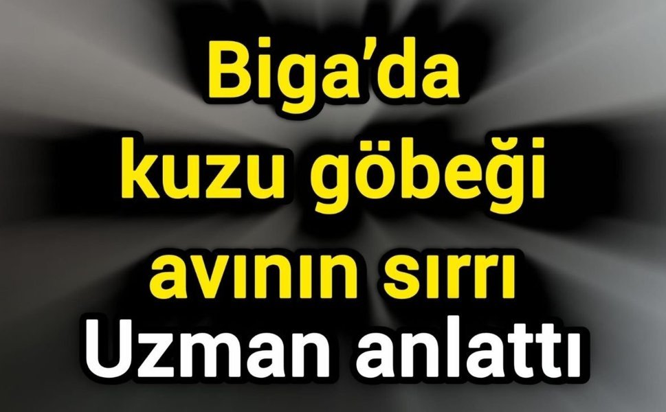 Biga’da kuzu göbeği avının sırrı: Uzman anlattı
