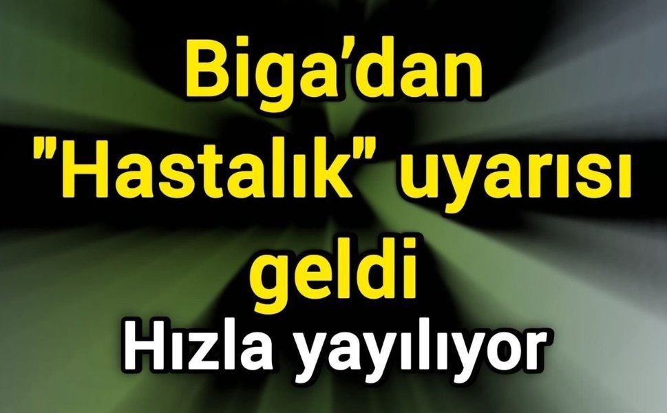 Biga’dan "Hastalık" uyarısı geldi: Hızla yayılıyor
