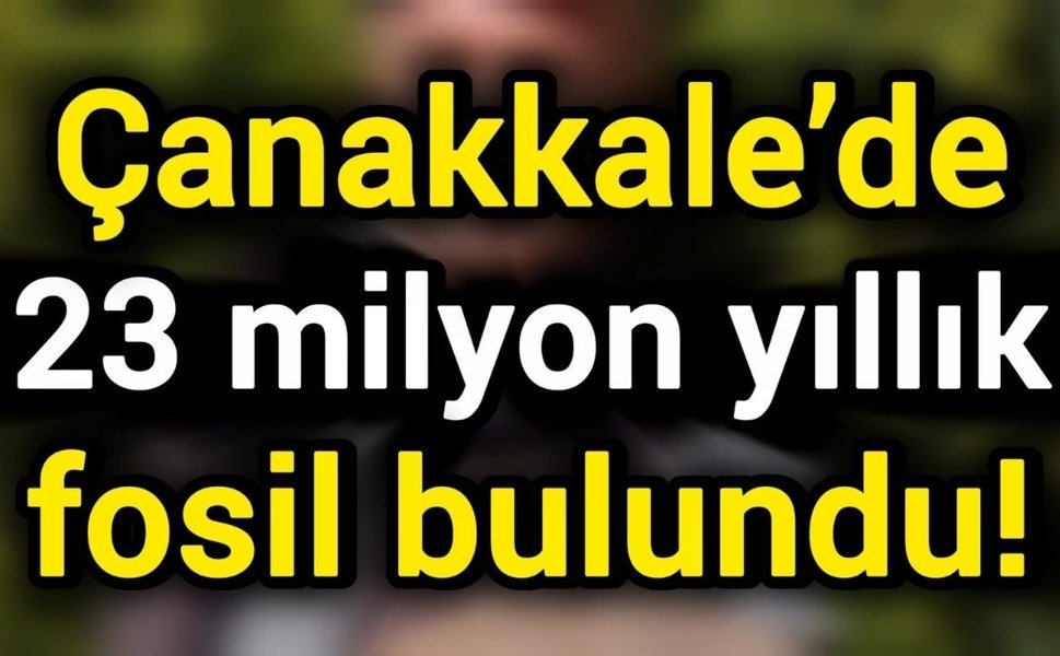 Çanakkale’de 23 milyon yıllık fosil bulundu!