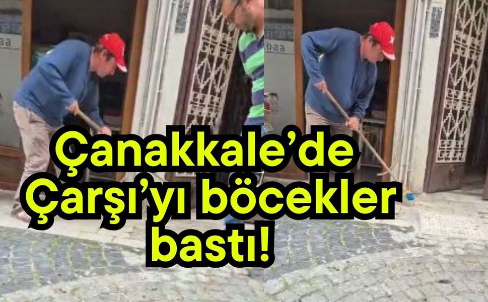 Çanakkale’de Çarşı’yı böcekler bastı!