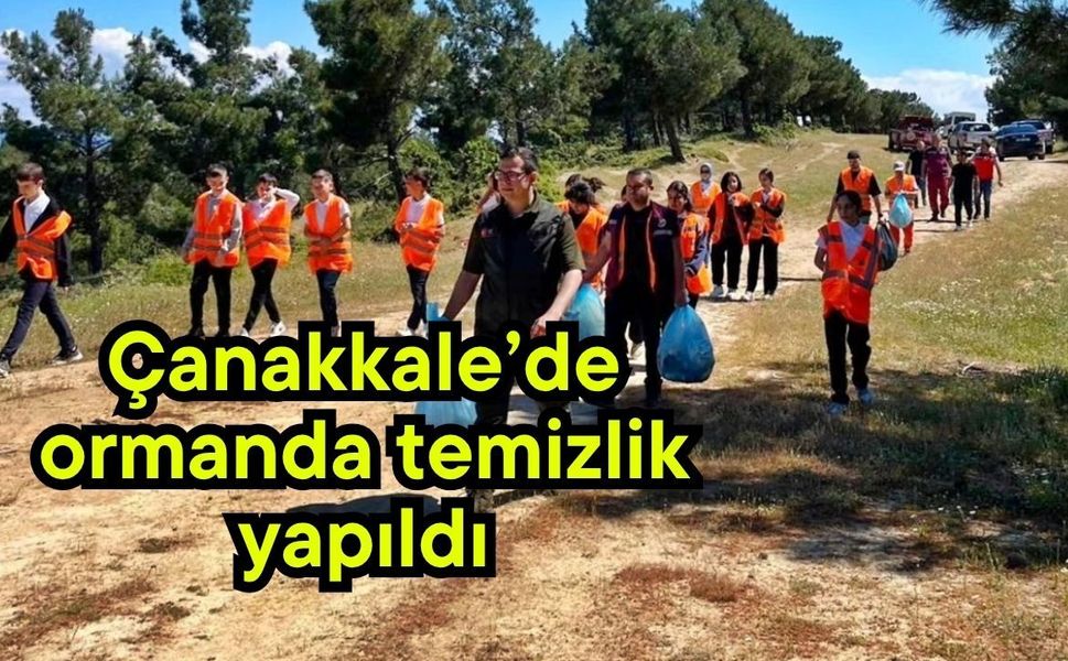 Çanakkale’de ormanda temizlik yapıldı