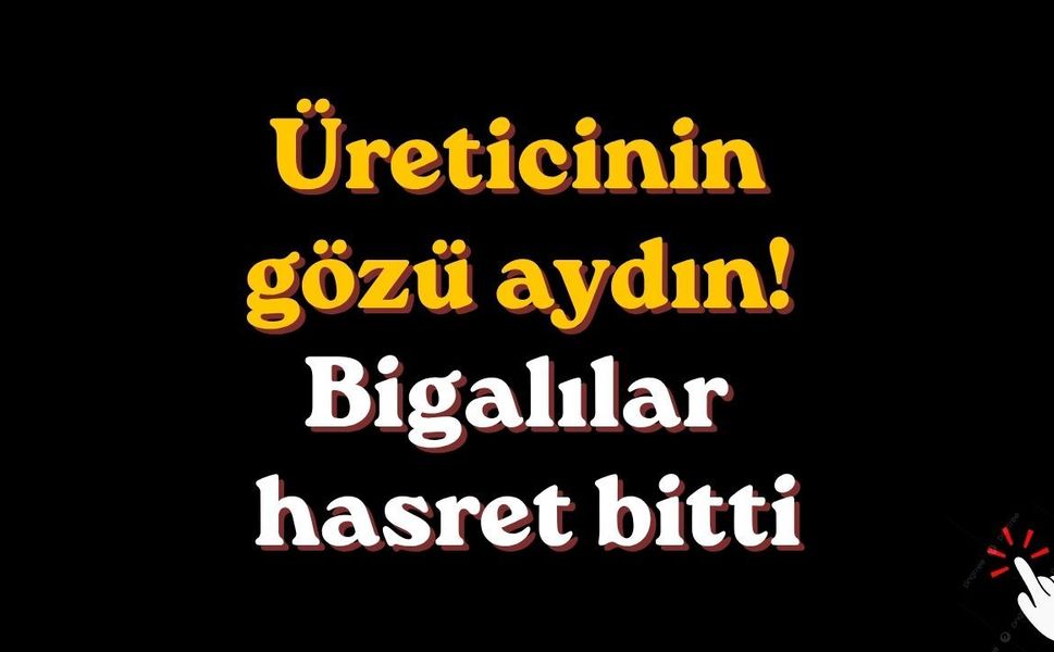 Üreticinin gözü aydın! Bigalılar hasret bitti