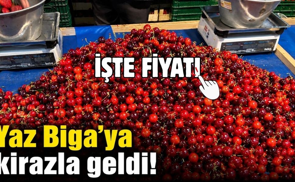 Yaz Biga'ya kirazla geldi! İşte fiyatı