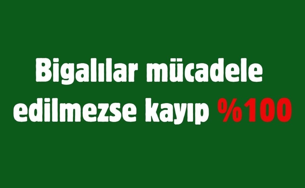 Bigalılar mücadele edilmezse kayıp %100