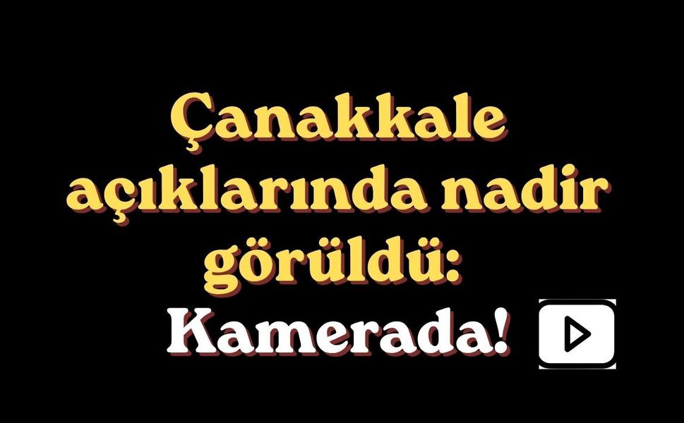 Çanakkale açıklarında nadir görüldü: Kamerada!