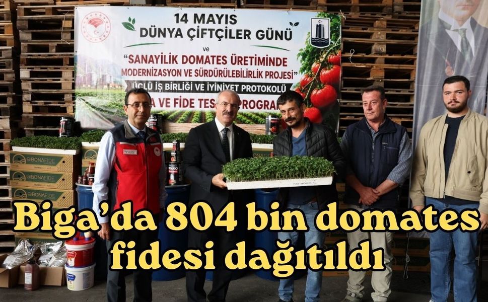 Biga’da 804 bin domates fidesi dağıtıldı