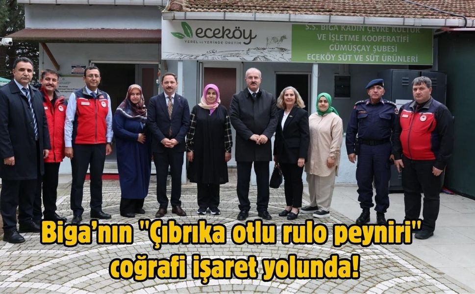 Biga’nın "Çıbrıka otlu rulo peyniri" coğrafi işaret yolunda!