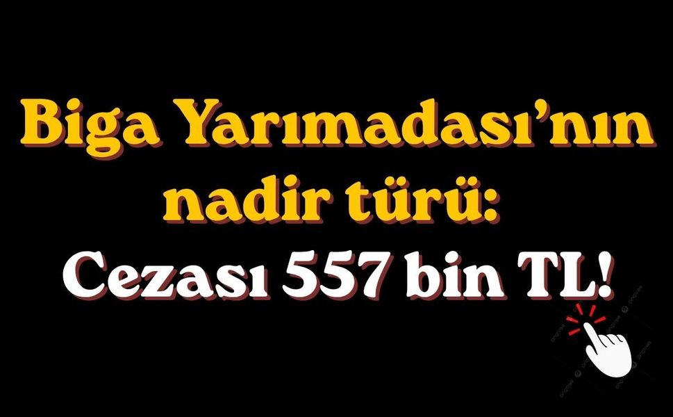 Biga Yarımadası’nın nadir türü: cezası 557 bin TL!