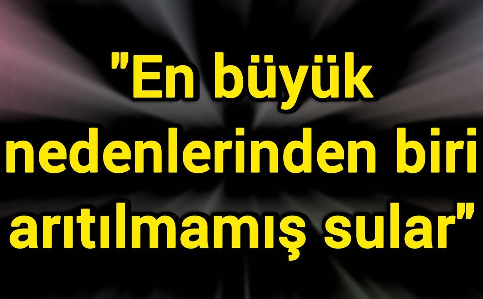 "En büyük nedenlerinden biri arıtılmamış sular"