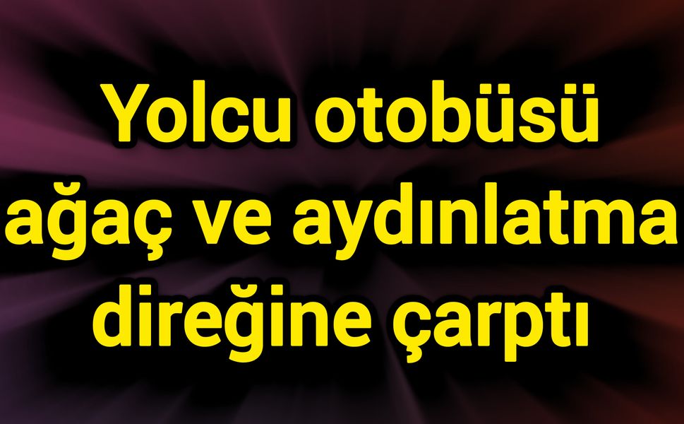 Yolcu otobüsü ağaç ve aydınlatma direğine çarptı