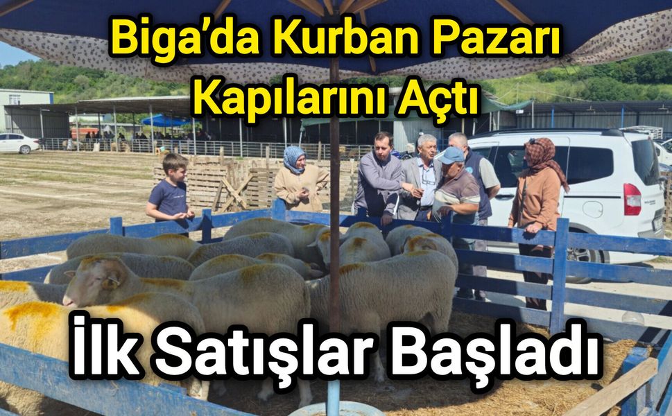 Biga’da Kurban Pazarı Kapılarını Açtı: İlk Satışlar Başladı