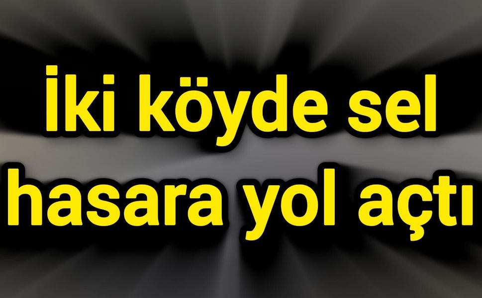 İki köyde sel hasara yol açtı