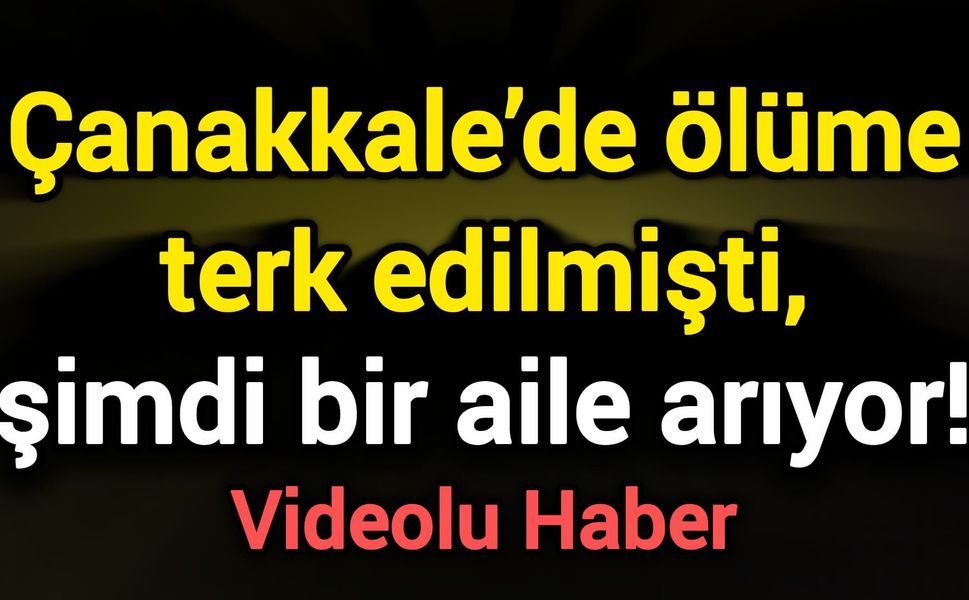 Çanakkale’de ölüme terk edilmişti, şimdi bir aile arıyor!