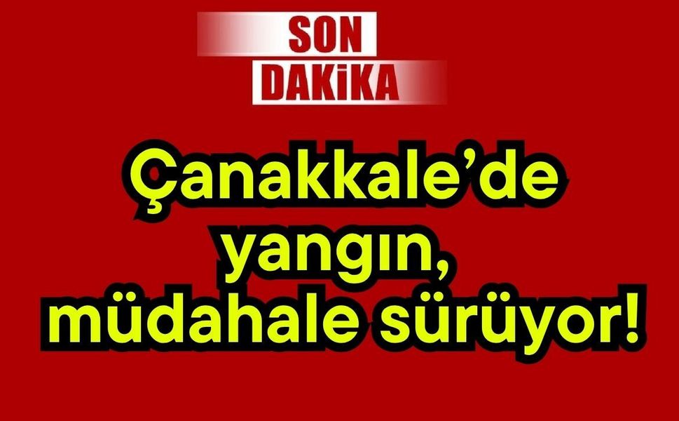 Çanakkale’de yangın, müdahale sürüyor!